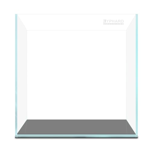 Image of LYPHARD AQUARIUMS Tall Rimless Aquarium 3 Gallon, Ultra Clear Low Iron Nano Fish Tank for Betta, L7.9xW7.9xH11.8 Glass Thickness 5mm with EVA Foam Leveling Mat