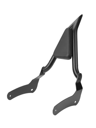 Coussin de Dossier Moto Passager pour Rebel CMX500 CMX300 2017-2023 Accessoire