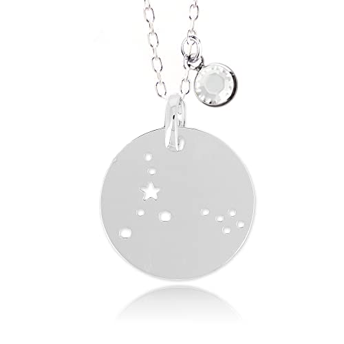 Collier Poisson Argent 925 medaille constellation cristal bijoux signe astrologique femme