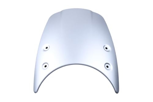 avdb Moto Cúpula/Parabrisas Compatible con BMW R1200 Nine T 2014 2023, R NINET Pure 2017 2023, RNINE T Scrambler 2016 2023, R Nine T Racer 2017 2020, 1200 RNINET Urban G/S 2018 2023 (Gris)