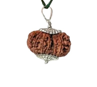 Nepal Rudraksha 21 Mukhi Natural Quality इक्कीस मुखी रुद्राक्ष Twenty One Face Rudraksha with Silver Pendant by Lab Certified-image-3