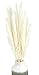 Produktbild Livslyst 20x Pampasgras (Cortaderia selloana) natürlich getrocknet, Dekoration Deko (Hochzeit, Events, Anlässe, Party), Inneneinrichtung, Interior Trockenblumen, Boho-Chic - Länge ca 60-70 cm, (Weiß)