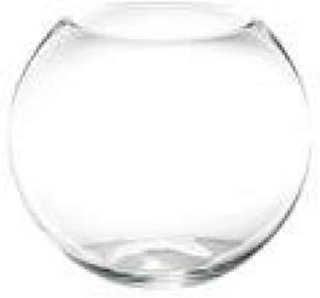 Amazon.co.uk Fish Bowls Fish Bowls / Aquariums & Fish Bowls Pet