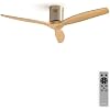 Ventilateur De Plafond Avec Lumière LED Et Télécommande - 132cm, 6 Vitesses, Moteur DC Silencieux