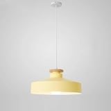 Photo Gallery zvalievye lampadario a sospensia soffitto, lampada a sospensione, lampada a sospensione, nordico, minimalista, industriale, colore, moda, caffè, centro commerciale, lampada singola decorativa con e27/ Photo Gallery zvalievye lampadario a sospensia soffitto, lampada a sospensione, lampada a sospensione, nordico, minimalista, industriale, colore, moda, caffè, centro commerciale, lampada singola decorativa con e27/