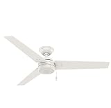Hunter Fan, Ventilador de Techo con Cadena, Cassius, 52 Pulgadas, Blanco