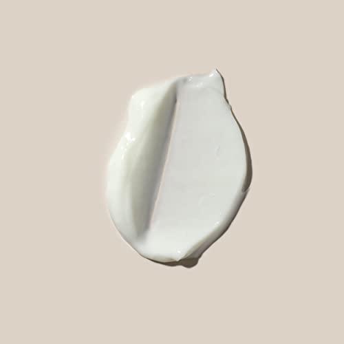 AHAVA Essential Day Moisturizer - Essential Daily Hydrating Facial & Neck Cream, Anti-Aging & Smoothing Effect, Enriched with Osmoter, Aloe Vera, Allantoin & Vitamin E