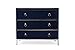 HomeRoots MDF, Cherry Veneer, Silve Finish Monika Blue & Silver Accent Chest