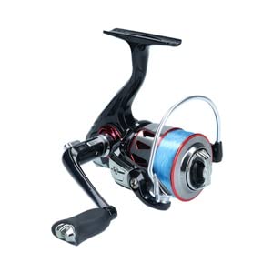 MS V-MAX2004DX(N4LB-100)