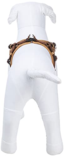 Harnas neopreen Vario Quick 55 - 70 cm, bruin/karamel - Image 3