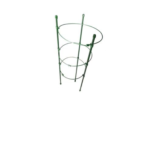 Cage de support pour plantes grimpantes HANABASS tuteur fer extérieur fleurs fruits - 2