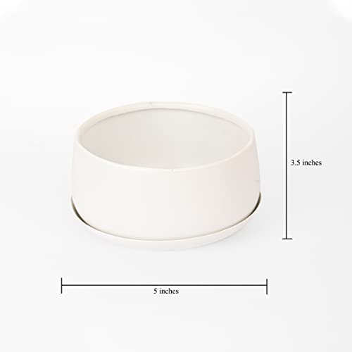 Pot's & Plant's Metal Planter Pot for Indoor Plants & Flowers Table Top Planter for Living Room, Home Decor, Terrace, Balcony & Home Gardening (Matte White with Drain Plate, 2)