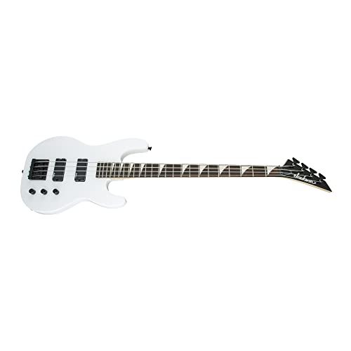 Professional Bass Guitar Starter Bundle