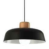 XYBZJP Abat-Jour de Lampe Suspendue en métal de personnalité créative, Lustre de Style Minimaliste américain, Suspension à tête Unique à vis E27, Magasin de vêtements, luminaires décoratifs pour îlot