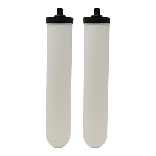 Newton 10" Short Mount Ceramic Water Filter Candle | Compatible with the Doulton 9504, 9501, W9123053, W9123006 (2 Pack)