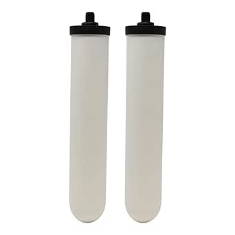 Doulton Ultracarb (W9123053) - 10 candele per filtro dell'acqua di Doulton