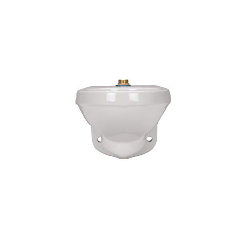 Zurn Z5615-BWL Toilet Bowl Only, 1.28 gpf Wall Hung Elongated Toilet