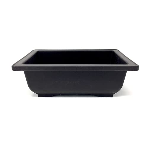 Green Paradise® Bonsai Pots rectangle 30.50 cm (L) x 21.60 cm (W) x 10.20cm (H) (Black) (Pack of 5) ideal for Training bonsai trees creating succulent cactus mini gardens adeniums (B09HNY6KFN) Amazon Price History, Amazon Price Tracker