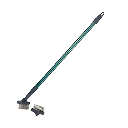 How to get rid of moss on driveway naturally How to get rid of moss on driveway naturally