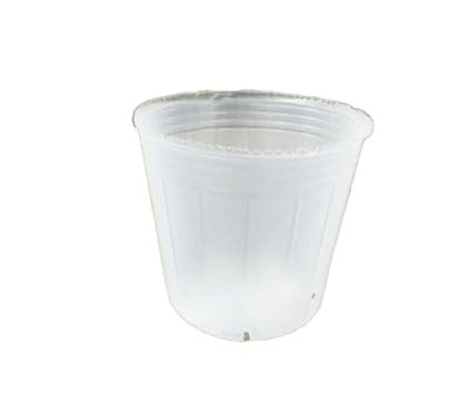  Xbg8||bg 6 100 ꌊ^Cv