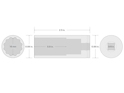 Image of TEKTON 3 /8 Inch Drive x 16 mm Deep 12-Point Socket | SHD13316