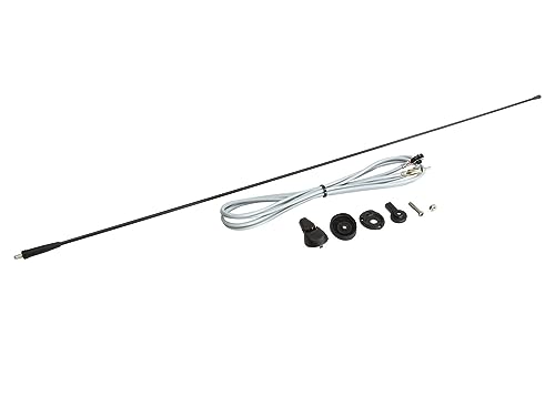 Antenne de toit universelle Acv – Réception radio AM FM optimale pour antenne voiture de rechange