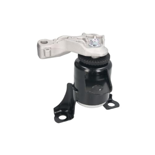 REINHOCH Motorlager Hydrolager für FORD Fiesta Mk6 Schrägheck (JA8, JR8) RH11-4053