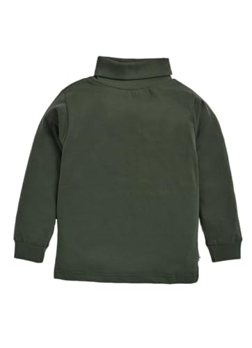 Image of Hazelnuts Pure Cotton Printed High Neck Full Sleeve Tshirt for Boys