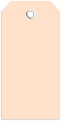 HERMA 6014 Anhängezettel klein, 1000 Stück, 45 x 90 mm, Geschenkanhänger zum Beschriften, Hängeetiketten aus Karton, blanko Papieranhänger Etiketten Anhänger mit Öse, braun