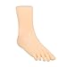 Menolana Foot Model, Women Mannequin Foot Display, Simulation Ankle Bracelet Shoes Sock Display for Shoes Socks Toe Rings Chains , Right Style A