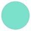 Mint Green Case