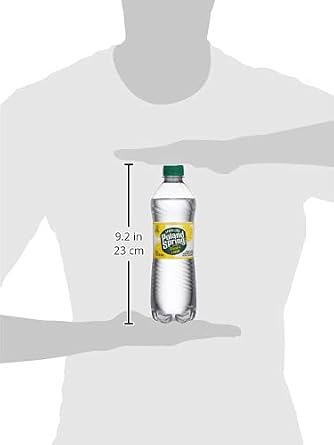 Poland Spring Lemon Sparkling Water 24 pk, 0.5 LT