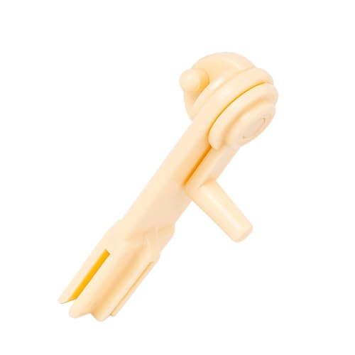 C_[hJ{rtXNXXeb`p[DhJƃNtggpANZT[Ntgpi