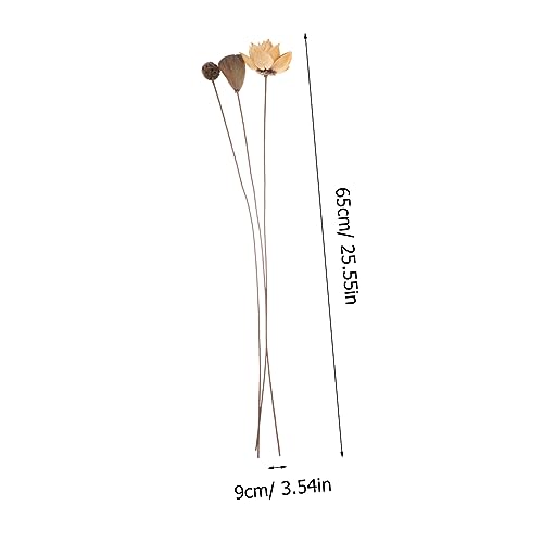 Tallos de loto seco para decoración zen miniatura 2
