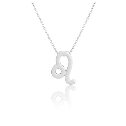 budiniao Ins Douze Signe du Zodiaque Vintage Constellations Thème Amitié Collier Ins Unique Confortable Personnalité Antirouille Pendentif, Lion Argent