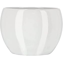 Maceteros Blancos Redondos KOTARBAU® Maceta de cerámica de 10 cm, para flores y plantas, color blanco, macetero redondo para interiores, maceta para el hogar, diseño moderno y elegante