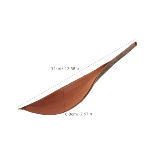 Feuille séchée décorative de 18-25 cm pour studio photo et artisanat - 2