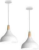 El portalámparas E27 es adecuado para bombillas Edison, bombillas LED, bombillas halógenas, bombillas ordinarias, etc. (Nota: el producto no contiene bombillas)