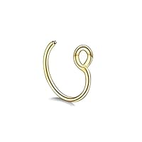 Algopix Similar Product 11 - Faux Gold and Silver Tiny Nose Rings
