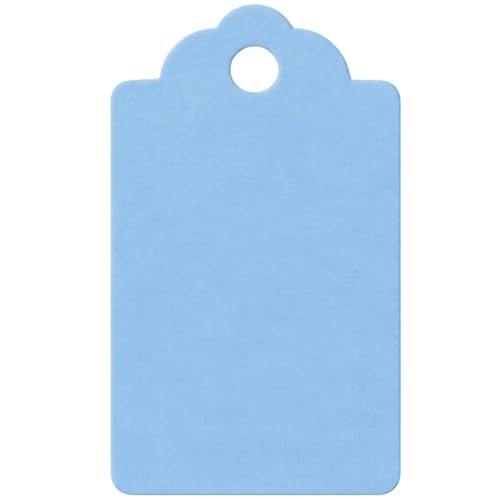 Image of CVANU 300pcs Premium Color Tag Blank Hanging with Pre-Punched Hole Tags for DIY Crafts, Gift Wrapping, Labelling & Writable Decorative Tags for All Occasions (2.85in X 1.7in) Light Blue2