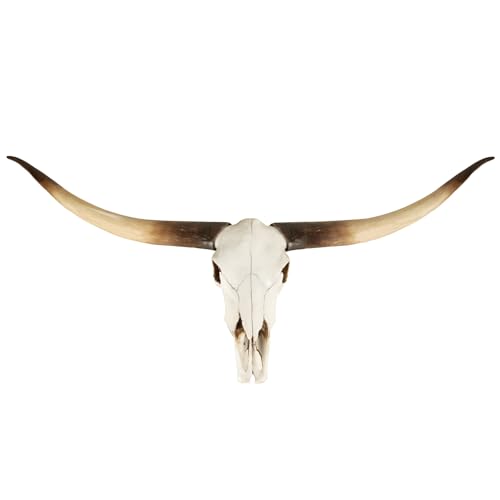 CUKBLESS 70 Giant Longhorn Skull Wall Decor Handmade Faux Taxidermy Bull Head Realistic Lightweight Resin for Rustic Farmhouse Western Living Room