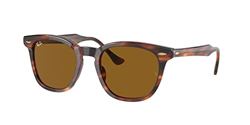 Ray-Ban RB2298 Sunglasses Bundle: RB 2298 HAWKEYE 954/33 Hawkeye Striped Havana Brown and Universal Anti-slip Silicone Leash