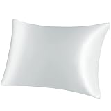 PICCOCASA 19mm Silver Silk Pillowcase for Hair Skin Queen/20x30in Pillow Case with Zip