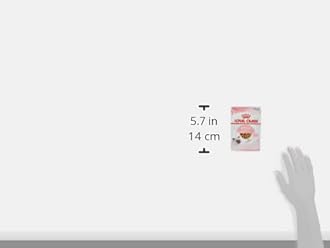 ロイヤルカナン FHN-WET キトン (12ヵ月齢までの子猫用) ウェットパウチ 85g×12袋 1ケース