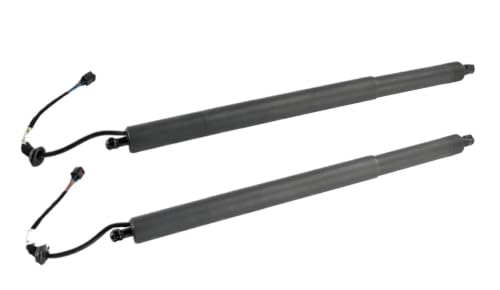 Support levage hayon électrique pour Hyundai Palisade 2020-2022