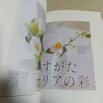 Amazon.co.jp: &岡本一宣の東京デザイン Okamoto Issen Graphic Design