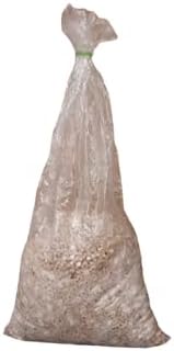 OYSTER MUSHROOM SPAWN/SEEDS 1 Kg
