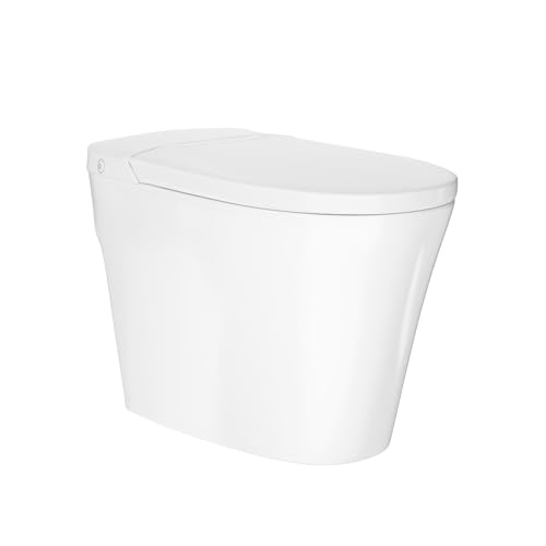 Swiss Madison Hugo H Power Flush Tankless Toilet
