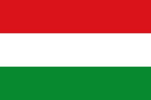 Drapeau XL Paime drapeau paysage de 2.16m² mesurant 100x200cm pour mât extérieur