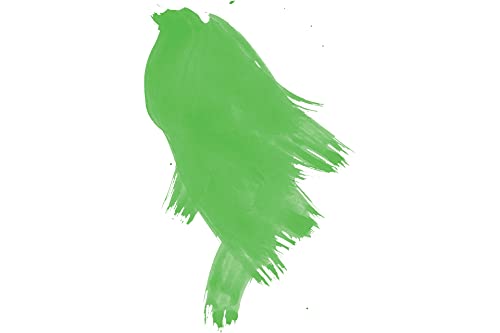 Daler-Rowney FW Pearlescent Acrylic Ink Bottle Macaw Green - Acrylic Drawing Ink for Artists and Students - High-Quality Permanent Calligraphy Ink - Archival Ink for Illustrating and More